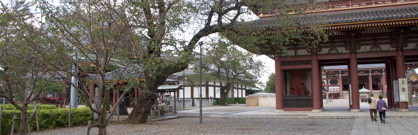 Honmonji temple